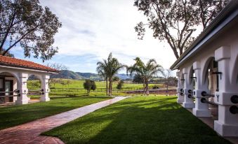 a white house surrounded by green grass and trees , with a pathway leading to the front door at La Lomita Ranch