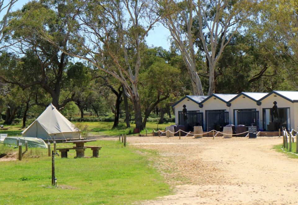 a group of tents and a small cabin in a field with trees surrounding the area at Coonawarra Bush Holiday Park