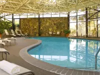 The Westin Atlanta Airport - Pools