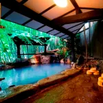 Ryokan Yumotosou Aso District otelleri