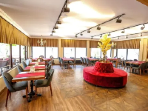 Thermal Saray Hotel & Spa Yalova Hotels in Termal