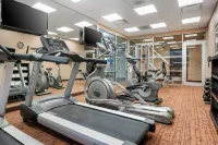 Best Western Plus Bathurst Hotel  Suites - Gym