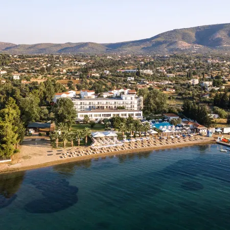 Brown Beach Eretria