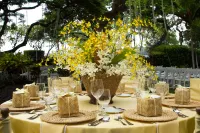 OUTRIGGER Kona Resort and Spa Hotels in Holualoa