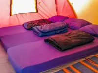 Hiker's Camp at Toya Devasya 바뚜르 자연온천 주변 호텔