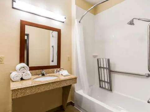 Comfort Inn & Suites IAH Bush Airport - East Photos