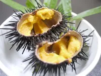 Tsubakiso Kagetsu Hoteles en Kesennuma