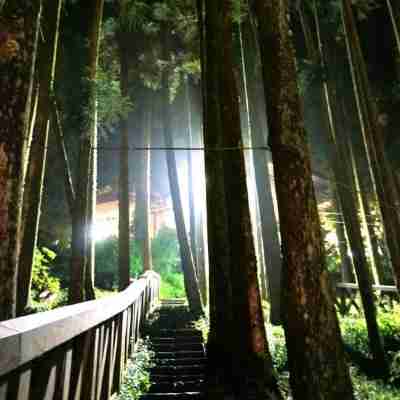 Alishan Peak Hotel Others