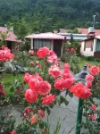 Buransh Heli Resort Các khách sạn ở Rudraprayag
