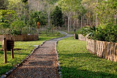 庭 メゾン スワンナプーム ホテルの写真