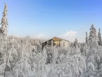Tievan Aurinkorinne Dina - 4 tähden