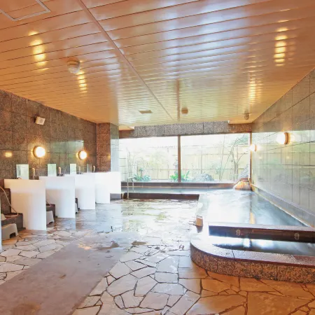 Hotel Monarque Tottori