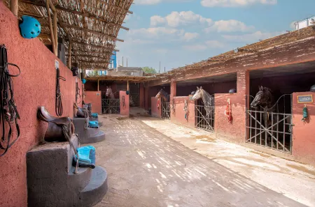 The Fattoria Ecolodge Отели рядом с достопримечательностью «Lets Go 2 Morocco»