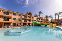 O7 Aloe Corralejo