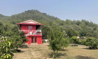 Kanva Farms