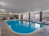 Quality Suites Addison-Dallas Hotels in Addison