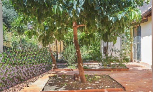 5. 엘 로이 가든 ..