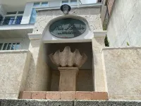 Hale Kotsubo