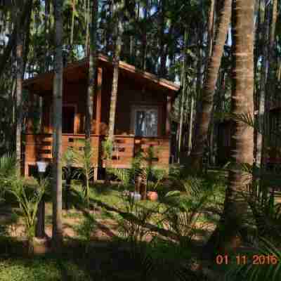 Tranquil Beach Resort Hotel Exterior