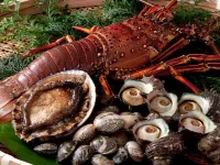 Hot spring inn Ryofuso　Mie prefecture