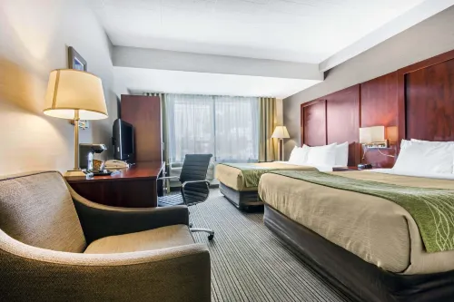 Comfort Inn & Suites Hotel di Collingwood