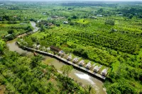 Ann Village (Glamping)