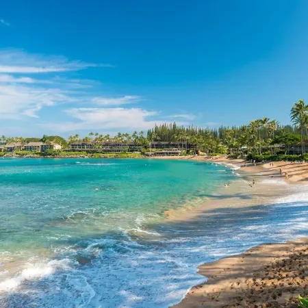 MAUI BEAUTY ~ Tropical Napili Bay Lahaina CONDO ~1BR King ~ Kitchen ~ AC!!!