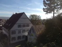 Apartment with kitchen and partly covered terrace. Central and quiet