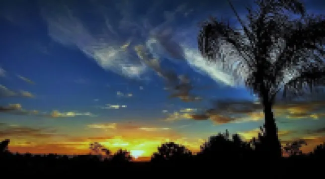 Clean Private Bedroom,Bathroom. Private entrance. Lovely Gated Neighborhood.