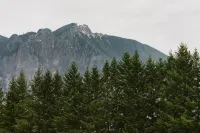New! The Snoqualmie Casita*Walk to Restaurants and shops
