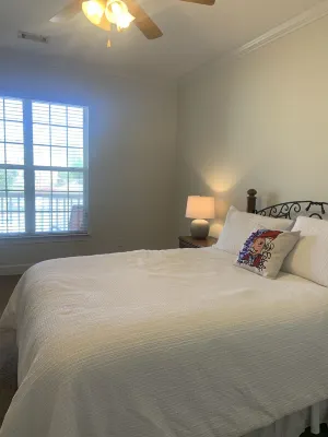 Hotty Toddy Condo