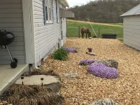 Crooked Creek Ranch