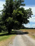 Charming country home with WiFi,  AC in marvelous Elgin