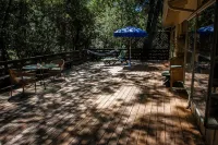 Murphys Getaway - Enjoy Wineries, Hiking, Concerts, Shopping & Small Town Charm