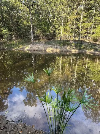 Honey Springs Cabin- restored historic cabin 12 minutes from Lake of the Ozarks