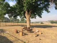 Hunters, Hikers, Campers Welcome!