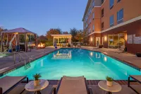 Cambria Hotel Plano - Frisco - Kolam Renang Peribadi
