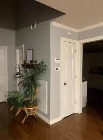 Spacious Home with Peaceful Wooded Backyard