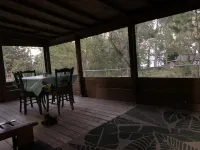 Cozy cabin, lake view, screened porch, 100 steps to the areas best beach.