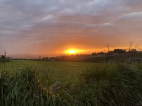 Las palmeras apartment