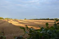 Enjoy stunning views over Kiel and nature