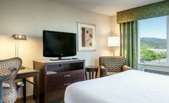 Hilton Garden Inn Seattle/Bothell