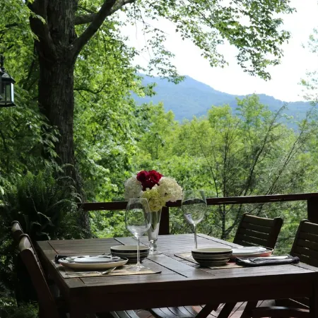 Mountain Getaway For Couples! 17 miles to Asheville, Pet Friendly, Hot Tub