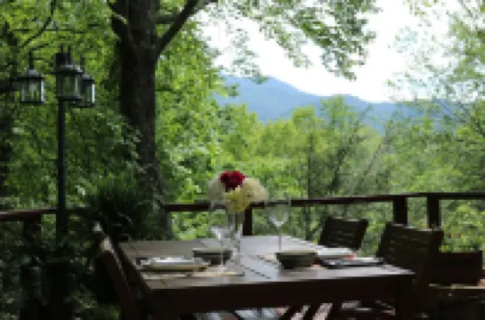 Mountain Getaway For Couples! 17 miles to Asheville, Pet Friendly, Hot Tub