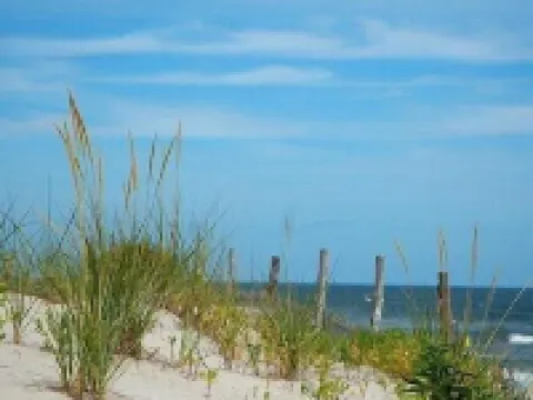 2 BR House Beach Haven Centrally located Hotels in Beach Haven