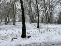 🌳Cozy Country Guesthouse, 3-Acre Peaceful Retreat🍃 Hotels in Meadow Vista