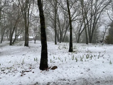 🌳Cozy Country Guesthouse, 3-Acre Peaceful Retreat🍃