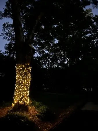 Luxurious and Cozy Midtown Home Near Fort Moore and Uptown Отели рядом с Аэропорт Коламбус Метрополитен