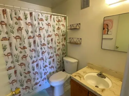 Vista Esterella Mid-Century Modern condo sleeps 4 Отели в г. Боррего-Спрингс