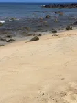 Tranquility on West Moloka'i